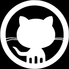 team leader